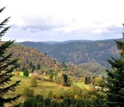 Camping Clos De La Chaume: Bezoek De Vosges Corcieux